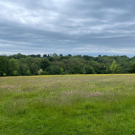 Готель Meadow View Mayfield  Екстер'єр фото