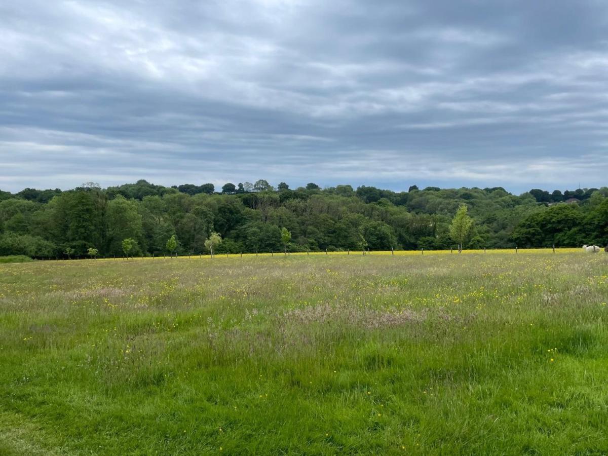 Готель Meadow View Mayfield  Екстер'єр фото